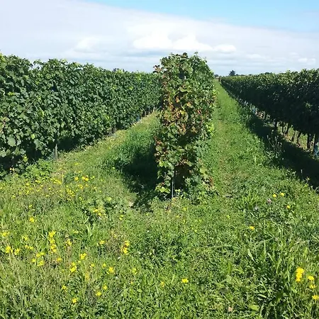 La Virginie - Ile'o דירה *