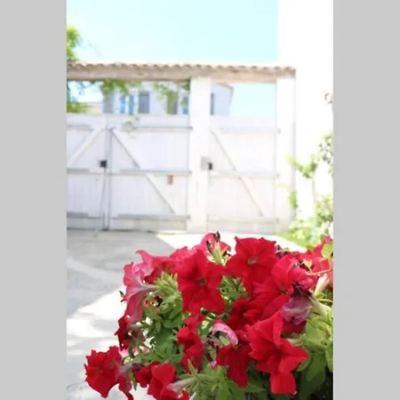 La Virginie - Ile'o Apartment