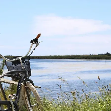 La Virginie - Ile'o לה קווארד-סור-מר