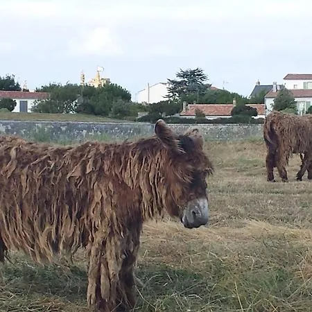 Appartamento La Virginie - Ile'o