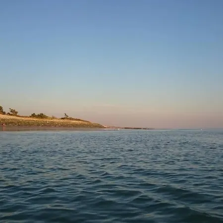 La Virginie - Ile'o * La Couarde-sur-Mer