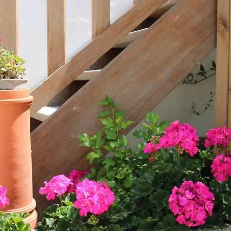 La Virginie - Ile'o La Couarde-sur-Mer